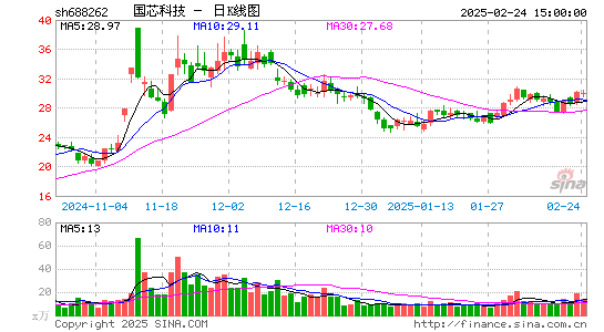 国芯科技