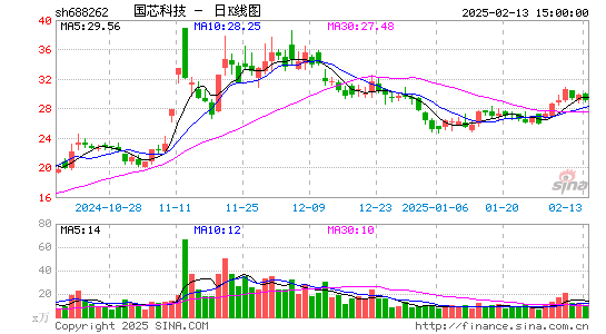 国芯科技