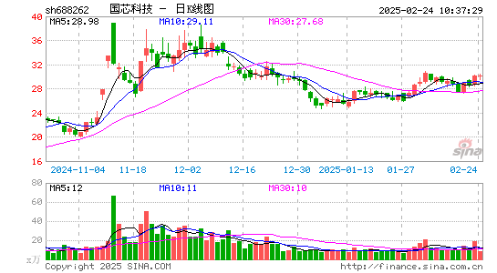 国芯科技