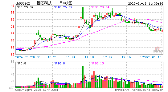 国芯科技