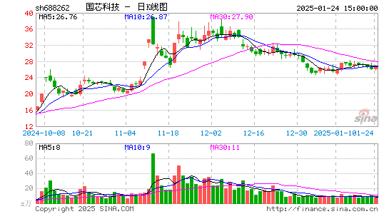 国芯科技