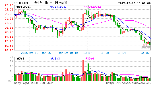 ʥ������