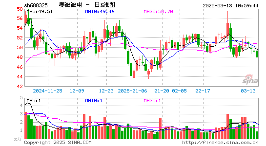 赛微微电