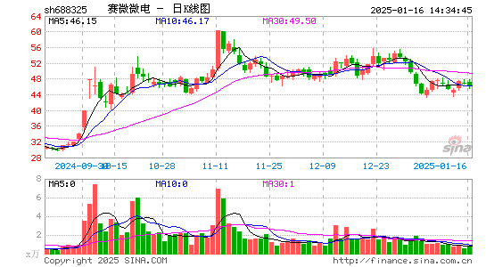 赛微微电