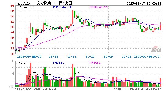 赛微微电