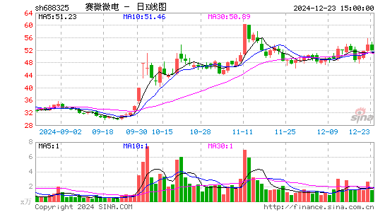 赛微微电