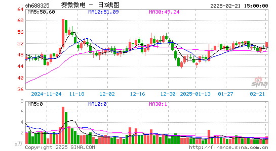 赛微微电