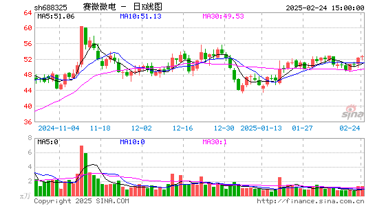 赛微微电