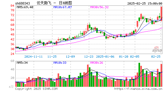 云天励飞