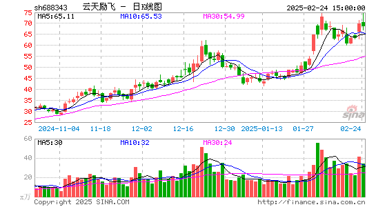 云天励飞