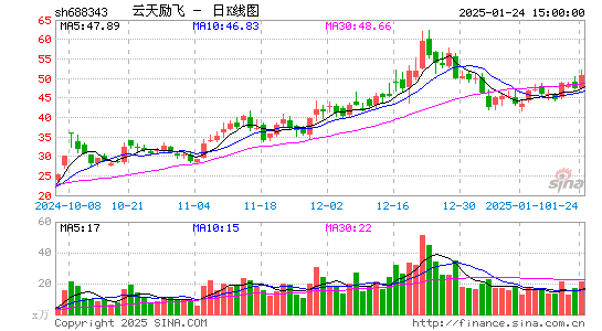 云天励飞