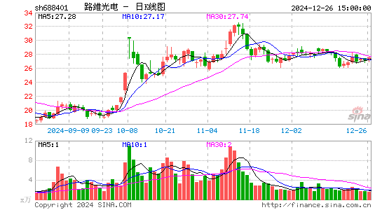 路维光电