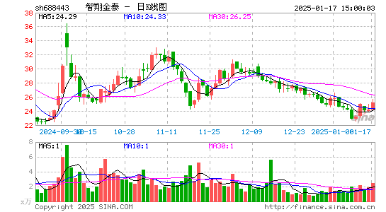 智翔金泰