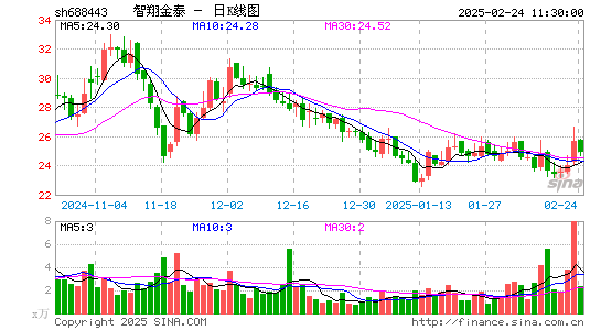 智翔金泰