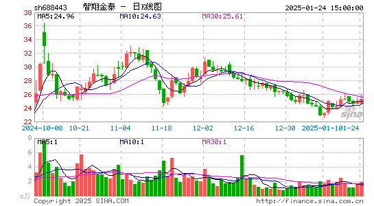 智翔金泰