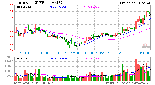 赛恩斯