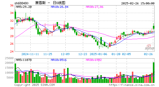 赛恩斯