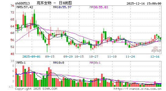 Է������
