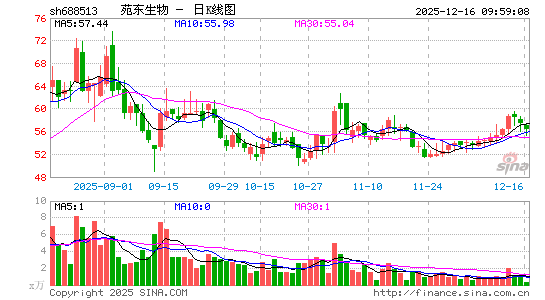 Է������