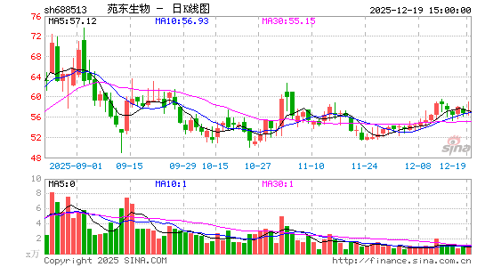 Է������