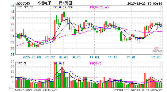 �˸�����