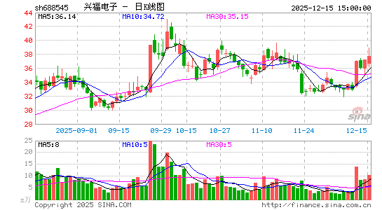 �˸�����