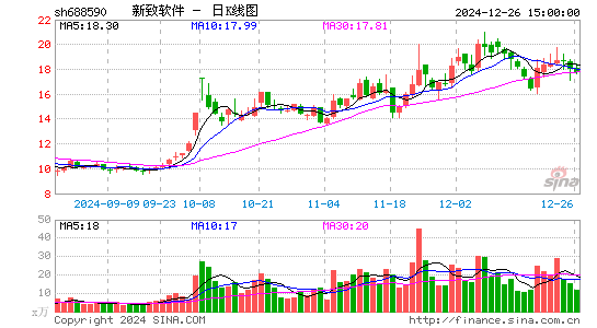 新致软件