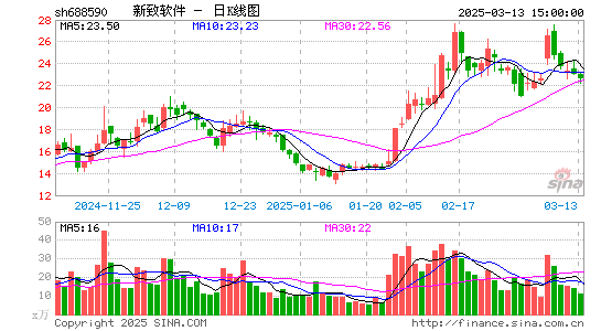 新致软件