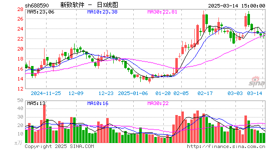 新致软件