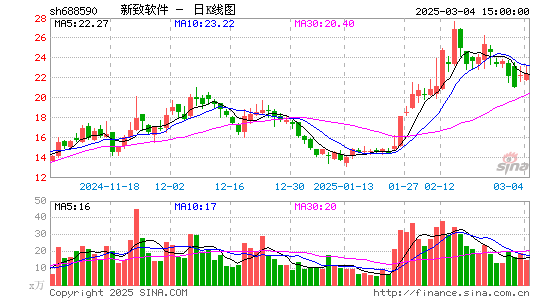 新致软件