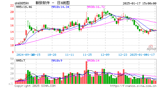 新致软件