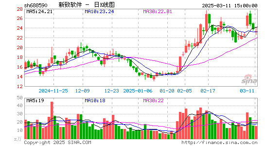 新致软件