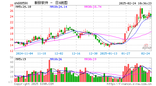 新致软件