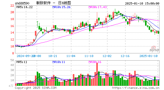 新致软件