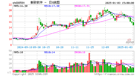 新致软件