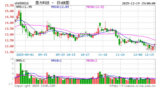 �����Ƽ�