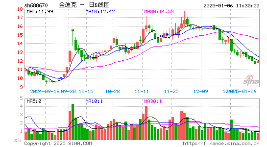 金迪克