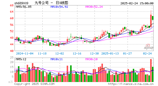 九号公司-WD