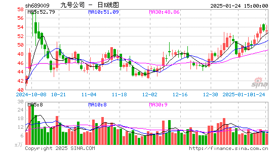 九号公司-WD