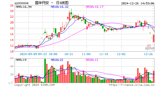 ST国华