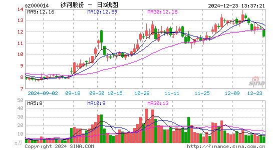 沙河股份