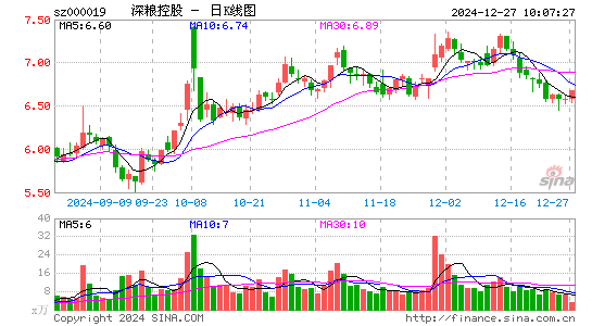 深粮控股