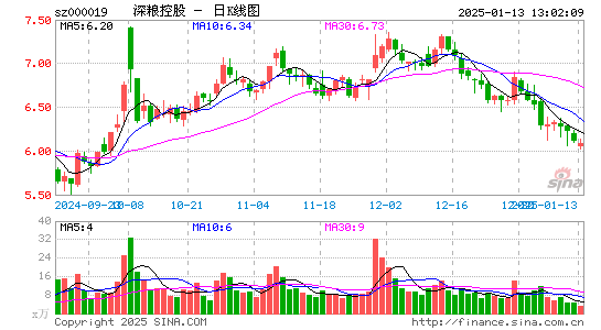 深粮控股