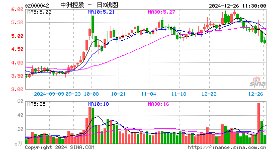 中洲控股