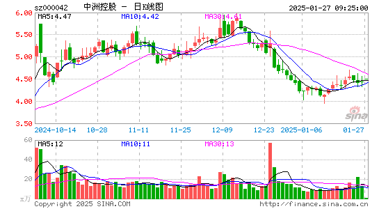 中洲控股