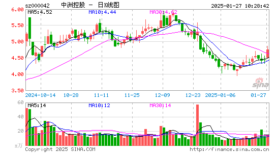 中洲控股