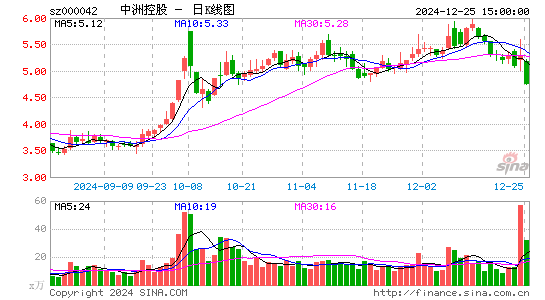 中洲控股