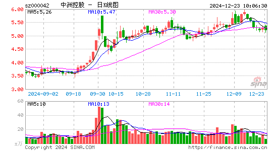 中洲控股