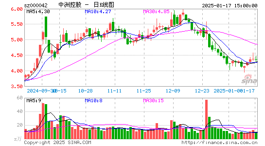 中洲控股