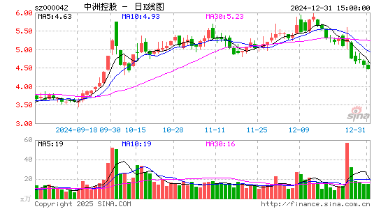 中洲控股